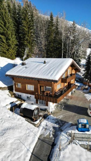 Chalet Viola am Waldrand von Disentis